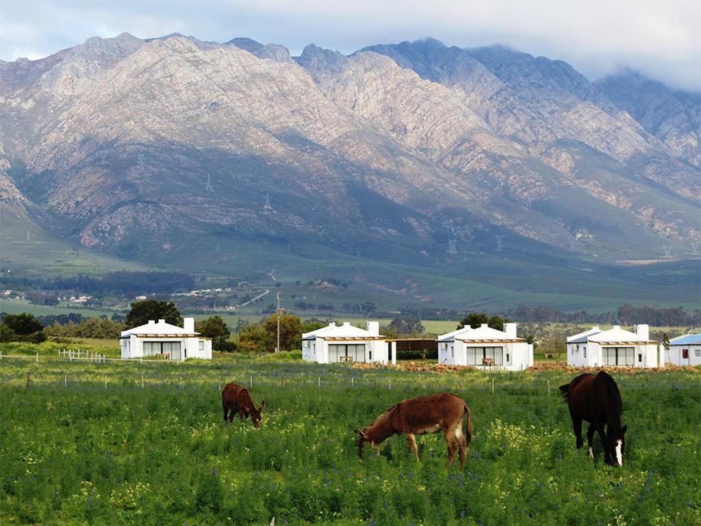 Duikersdrift Winelands Country Escape Hotel Тулбаг Екстериор снимка